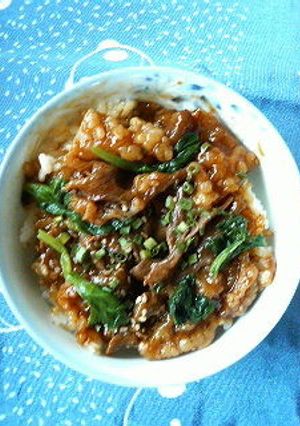 簡単カルビ丼もどき-レシピのメイン写真