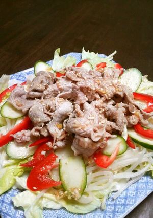 祖母から伝授♡食欲UP 冷しゃぶ-レシピのメイン写真