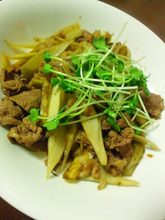 牛肉ゴボウ煮☆-レシピのメイン写真