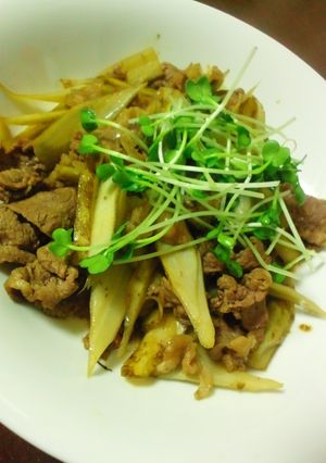 牛肉ゴボウ煮☆-レシピのメイン写真