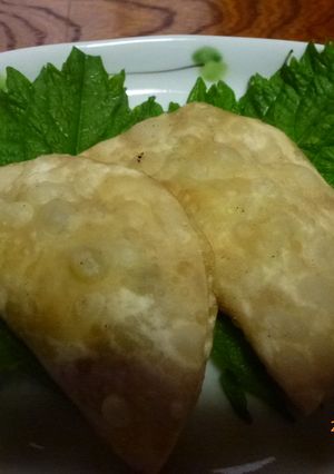 チーズ&カレー風味のインゲン揚げ餃子-レシピのメイン写真