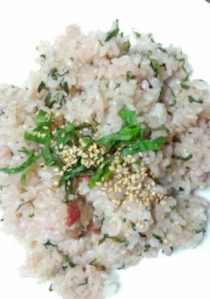 簡単★アンチョビ梅しそ焼飯-レシピのメイン写真