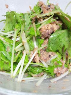 サバ味噌煮缶×水菜のサラダ-レシピのメイン写真
