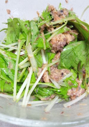 サバ味噌煮缶×水菜のサラダ-レシピのメイン写真