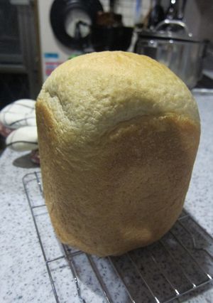 我が家の定番コーンミール入りライ麦パン-レシピのメイン写真