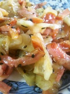 白いゴーヤと焼き豚の旨炒め-レシピのメイン写真