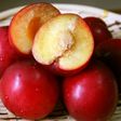 桃・すもも・あんずの種を簡単に取る方法