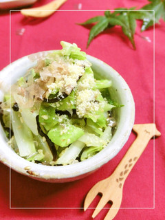 キャベツの塩麹・塩昆布わさび胡麻和え-レシピのメイン写真