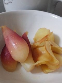 寿司屋のガリ風味☆しょうがとみょうが-レシピのメイン写真