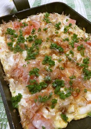 卵焼き器で焼きっぱなしの豆腐ステーキ-レシピのメイン写真