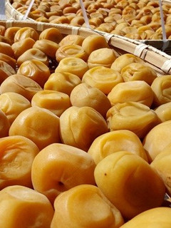 りーさんちの梅干-レシピのメイン写真