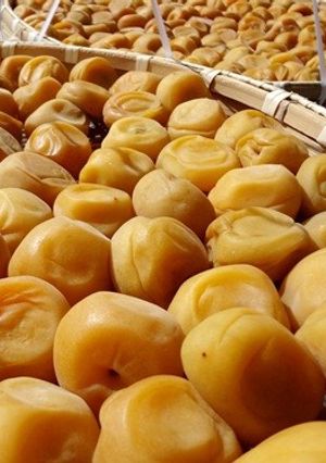りーさんちの梅干-レシピのメイン写真