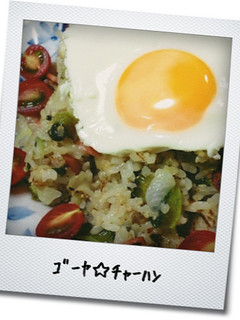 ゴーヤ☆チャーハン-レシピのメイン写真