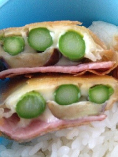 サックサク!野菜春巻き-レシピのメイン写真