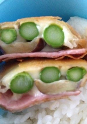 サックサク！野菜春巻き-レシピのメイン写真