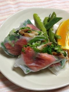 焼き肉のタレで、生春巻き!-レシピのメイン写真