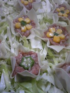 ホットプレートで♬かわいい✿シューマイ-レシピのメイン写真