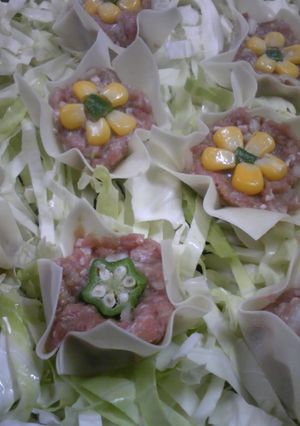 ホットプレートで♬かわいい✿シューマイ-レシピのメイン写真