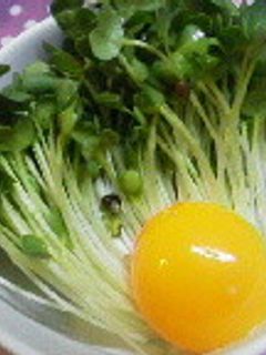 1分で出来る☆シンプルかいわれサラダ-レシピのメイン写真