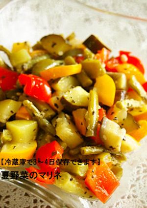 夏野菜のマリネ-レシピのメイン写真