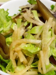 茄子と大根のさっぱりサラダ☆-レシピのメイン写真