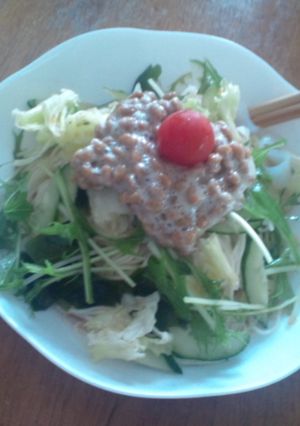 ヘルシー☆サラダ納豆そうめん-レシピのメイン写真