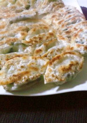 おからとハーブの簡単餃子-レシピのメイン写真