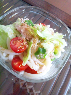 夏にぴったり☆簡単サラダうどん-レシピのメイン写真