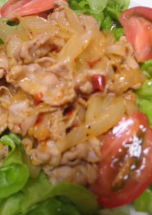 豚ばら肉と玉ねぎの辛味噌炒め-レシピのメイン写真