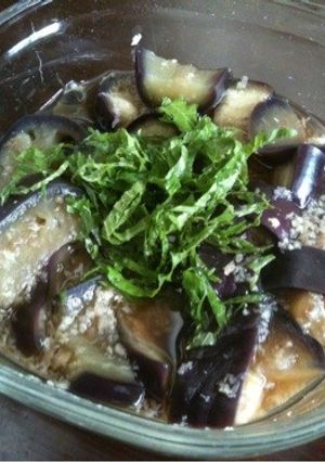 茄子のおひたし-レシピのメイン写真