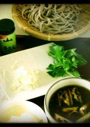 低GIなこっくり味の鴨せいろ蕎麦-レシピのメイン写真