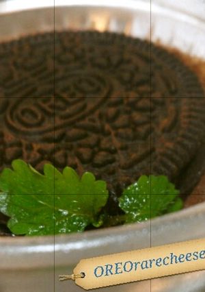 オレオのレアチーズケーキ風-レシピのメイン写真