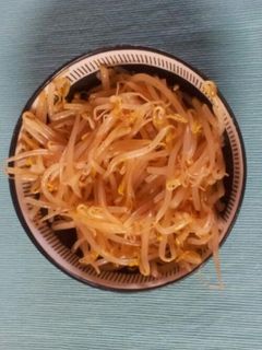 ピリ辛もやしナムル-レシピのメイン写真