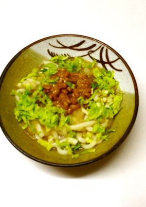 みぞれ納豆うどん-レシピのメイン写真