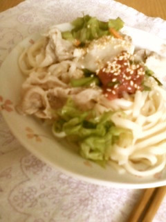 冷たい~冷しゃぶうどん-レシピのメイン写真