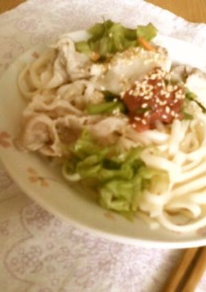 冷たい～冷しゃぶうどん-レシピのメイン写真