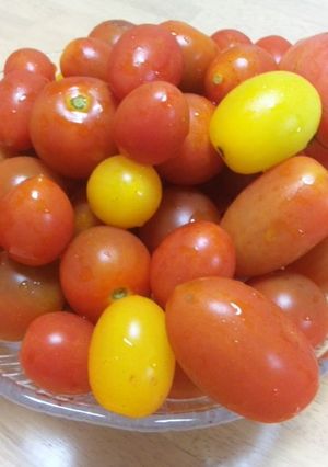 冷やしただけのミニトマト-レシピのメイン写真