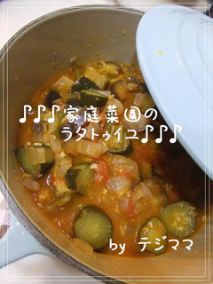 きゅうり救済!家庭菜園のラタトゥイユ♥-レシピのメイン写真