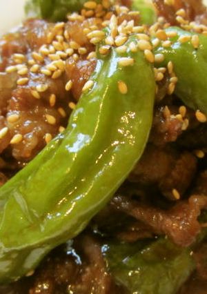 ☆ししとうたっぷり牛肉煮～☆-レシピのメイン写真