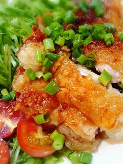 簡単!塩麹ユーリンチー-レシピのメイン写真