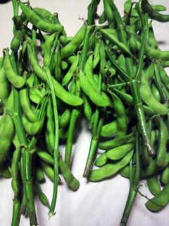 枝豆をおいしく茹でる-レシピのメイン写真