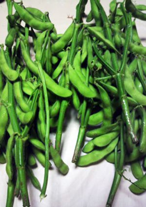 枝豆をおいしく茹でる-レシピのメイン写真