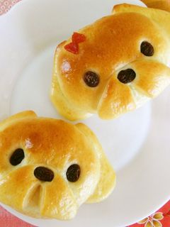 いぬパン まる顔シーズー犬-レシピのメイン写真