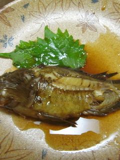 めばるの煮つけ-レシピのメイン写真