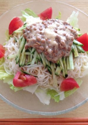 簡単☆納豆サラダそうめん-レシピのメイン写真