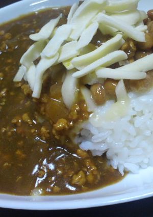早！簡単★玉葱&ミンチのカレー-レシピのメイン写真