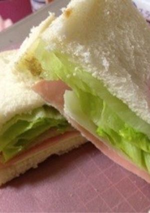 コンビニのシャキシャキレタス-レシピのメイン写真