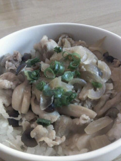 豚丼☆-レシピのメイン写真
