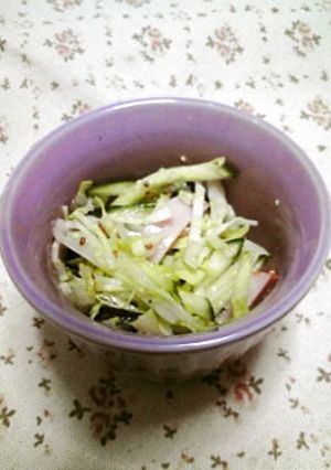 キャベツときゅうりのマスタードあえ-レシピのメイン写真