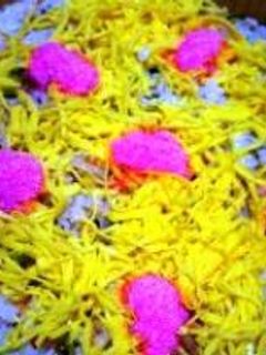 鮭の混ぜ寿司-レシピのメイン写真